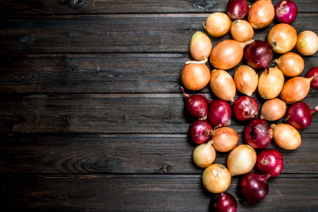 Red and yellow fresh onions. On wooden backgroundの写真素材