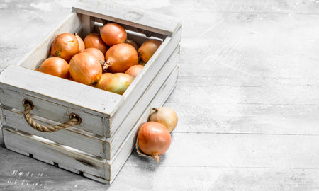 Fresh onions in the box. On rustic backgroundの写真素材