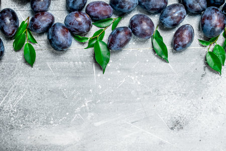 Fresh plums with leaves. On white rustic backgroundの写真素材