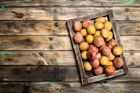 Potatoes on a wooden tray. On wooden backgroundの写真素材