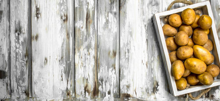The potatoes on the tray. On white wooden backgroundの写真素材
