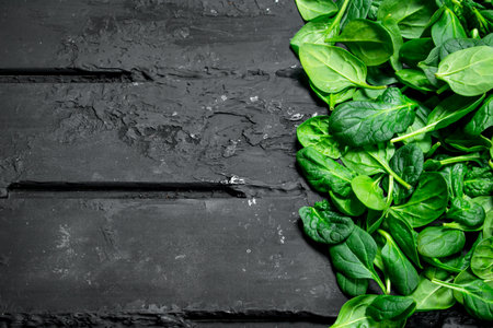 Fresh green spinach. On black rustic backgroundの写真素材