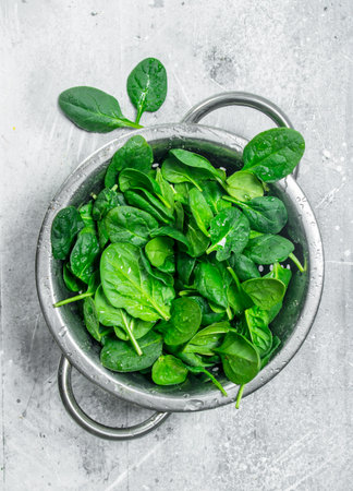 Spinach in a saucepan. On white rustic backgroundの写真素材