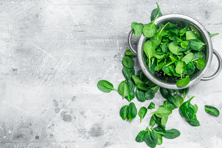 Spinach leaves in a saucepan. On white rustic backgroundの写真素材