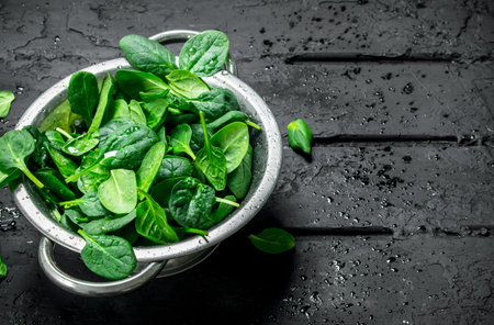 Fresh spinach leaves in a saucepan. On black rustic backgroundの写真素材