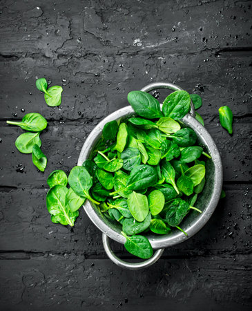 Fresh spinach leaves in a saucepan. On black rustic backgroundの写真素材