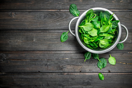 Spinach in a saucepan. On wooden backgroundの写真素材