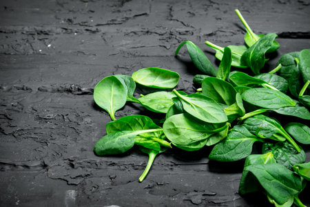 Fresh green spinach. On black rustic backgroundの写真素材