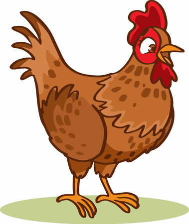 chicken isolated on a white background. Vector illustration of a chicken.のイラスト素材
