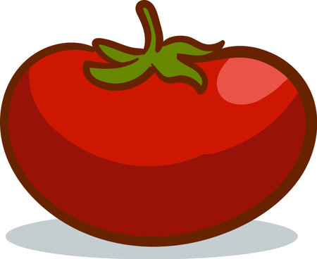 Illustration of a tomato on a white background. Vector image.のイラスト素材
