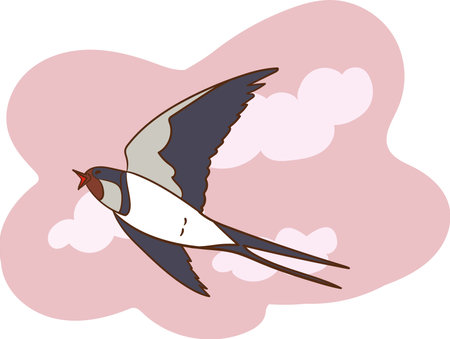 This is an illustration of a Swallow bird flying in the sky.のイラスト素材