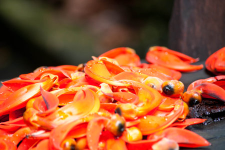 falling flowerの写真素材