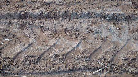 Vehicles Tracks in Mud way