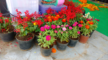 flower pots arranged in rows in the part of decorationの写真素材