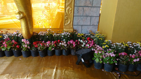 flower pots arranged in rows in the part of decorationの写真素材