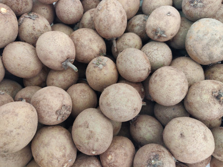 sapota also called as chikku, chiku, chikoo, sapote, pouteria sapota, shovel sapota