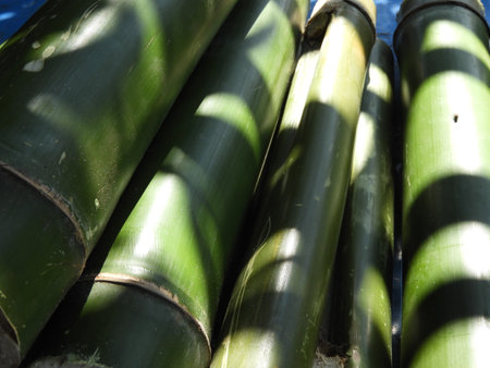 bamboo pieces used to make bamboo chicken or bamboo chicken biryani: a traditional tribal cuisine of Araku Valley, kept for saleの写真素材
