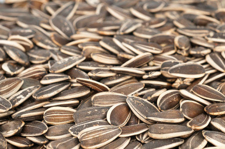 Bulk sunflower seeds. wallpaper, texture