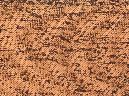 Orange roof tiles of Thai templeの写真素材