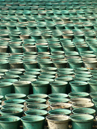 Jardiniere plastic for tree planting in gardenの写真素材