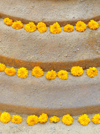 Yellow flowers on the sandの写真素材