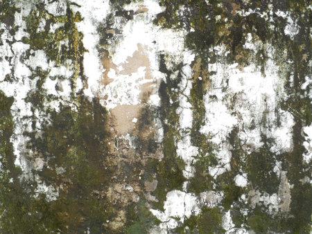 Dirty old wallの写真素材