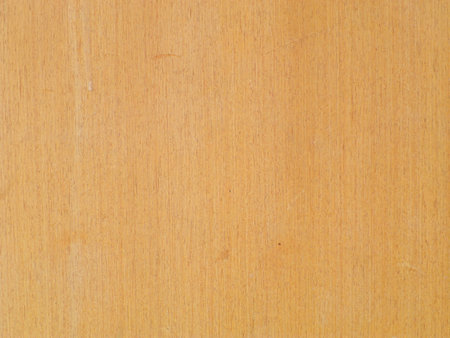 light wood texture (for background)の写真素材