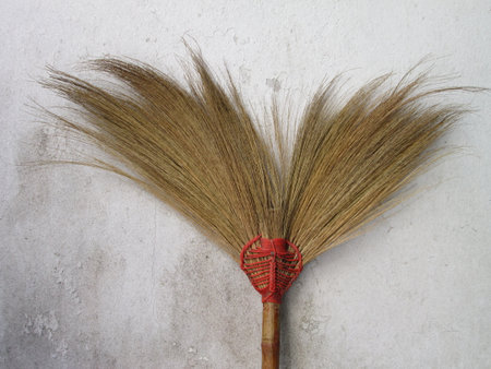 Thailand's broomの写真素材