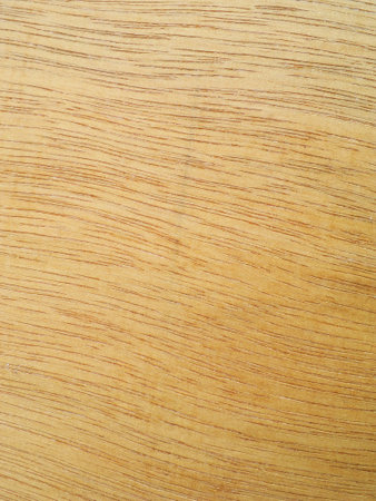 Texture of wood background closeupの写真素材