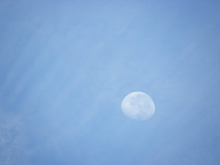 beautiful blue sky with moon late in the afternoonの写真素材