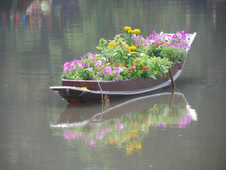 Flowers on boardの写真素材