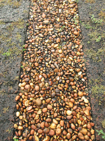 Rocky dirt pathの写真素材