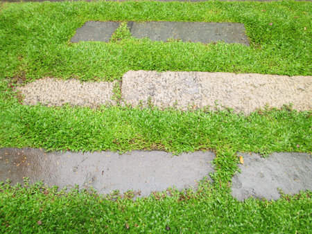 garden stone foot path with grassの写真素材