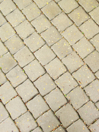 Brick pavement blocksの写真素材