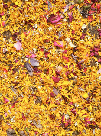 Edible dried flower petalsの写真素材