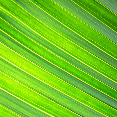 Green leaf background