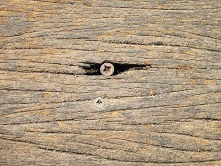 nails in old woodの写真素材