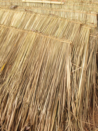 Close up straw background. Texture of thatch roofの写真素材