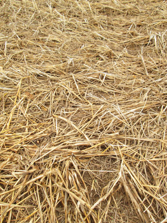 Brown rice straw