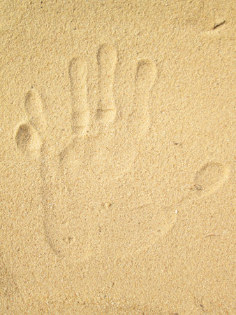 hand print in the sandの写真素材