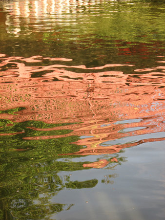 Water reflections of a lake