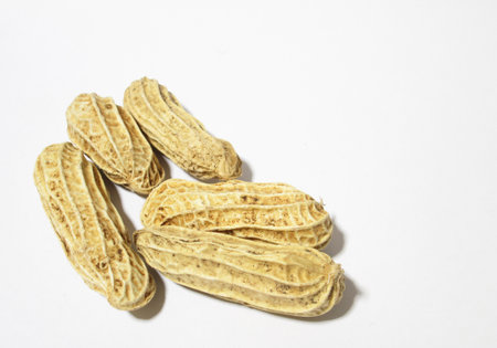 Peanut isolated on white background close upの写真素材