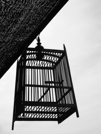 Bird cage silhouetteの写真素材