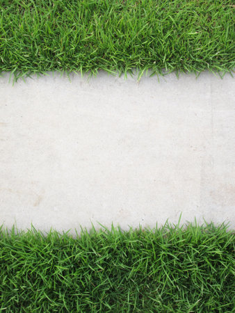 Grass with walkway backgroundの写真素材