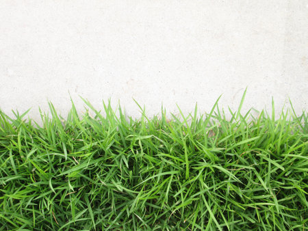 Grass with walkway backgroundの写真素材