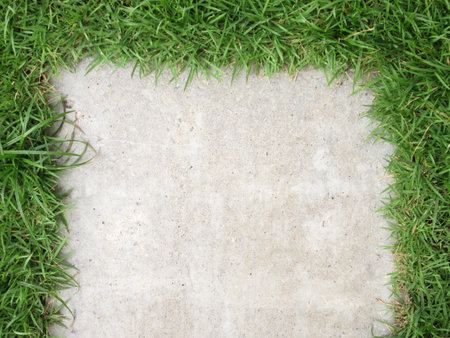 Grass with walkway backgroundの写真素材