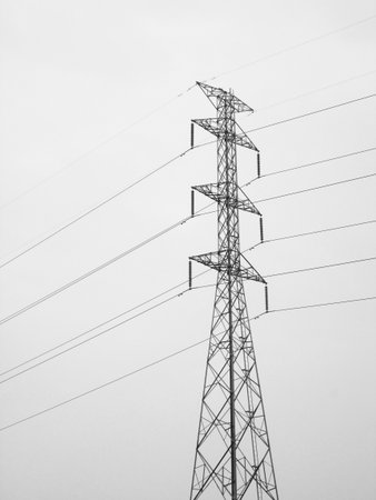 Electricity poles