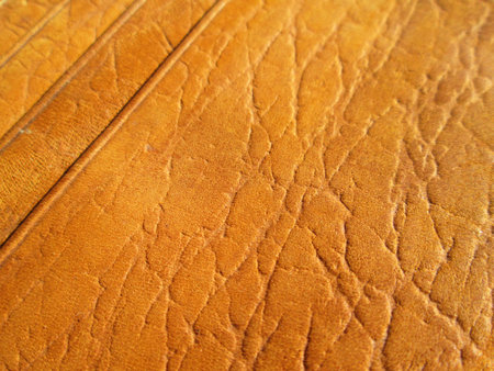 close up pattern of brown purse