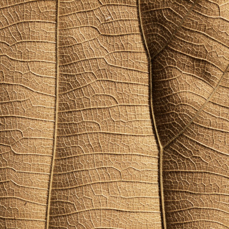 Macro view on textured autumn brown leaf