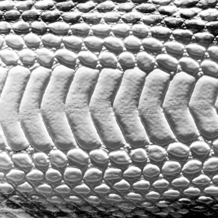 gray snake texture or backgrond